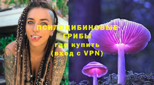 а пвп мука Нея