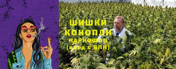 ешки Новозыбков