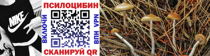 цены   Сортавала  Псилоцибиновые грибы мухоморы 